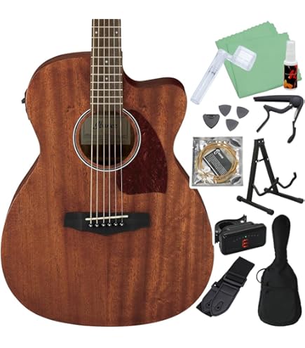 Amazon | Ibanez アイバニーズ パフォーマンス・シリーズ エレアコ