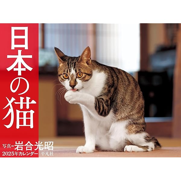 S13】 ねこ日和 2025 Cat Calendar (永岡書店のカレンダー) | 岩合光昭