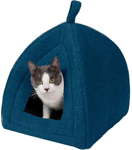 KASENTEX 2-in-1 Cat Bed & House - Indoor Tent With Removable Cushion, 19x19x19 Inches, For Cats & Small Dogs