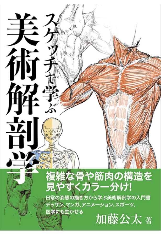 うつくしい美術解剖図 | 小田 隆 |本 | 通販 | Amazon