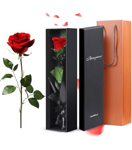 Amazon｜Makefuture Diamond Rose プリザーブドフラワー 花 バラ 化粧