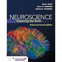 NEUROSCIENCE Exploring the Brain 第4版 Neuroscience: Exploring The Brain, Enhanced Edition : Bear, Mark