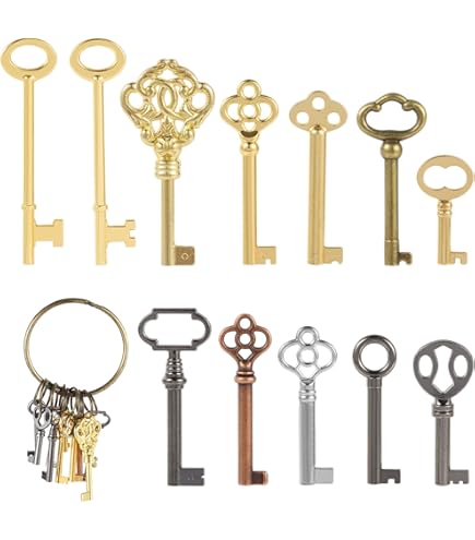Amazon | スケルトンキーセット - キーリングに10個の鍵