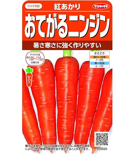 Amazon.co.jp: にんじん 種 沖縄島ニンジン 小袋（約5ml） : DIY・工具