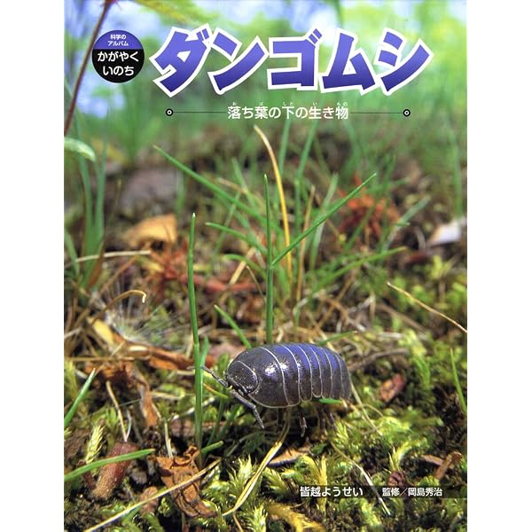 ダンゴムシ (いきものとなかよしはじめての飼育) |本 | 通販 | Amazon