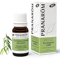 Amazon.co.jp: プラナロム ペパーミント【BIO】 10ml （PRANAROM
