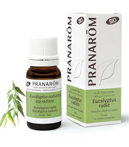 Amazon.co.jp: プラナロム ペパーミント【BIO】 10ml （PRANAROM