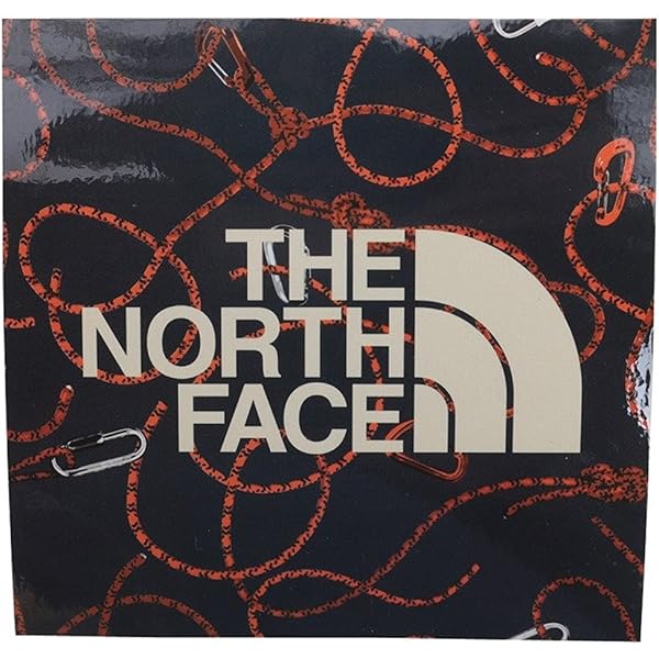 coco】Supreme　ステッカー　ルイヴィトン　ナイキ　ノースフェイス Amazon.co.jp: THE NORTH FACE(ザ・ノースフェイス) ステッカー