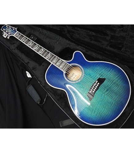 Amazon | Takamine PTU121C GBB エレアコギター 100シリーズ (タカミネ