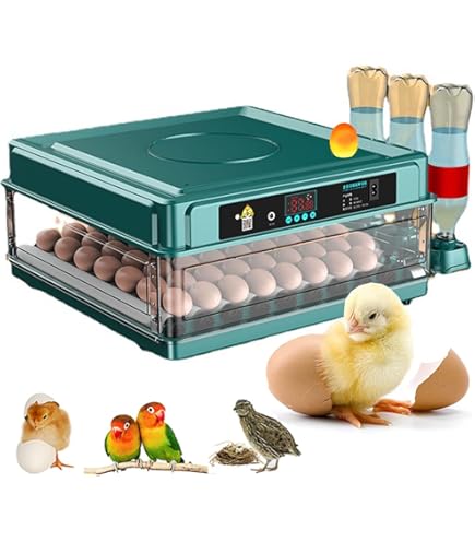 Amazon | 自動孵卵器 インキュベーター 恒温器 鳥類専用ふ卵器 孵化器