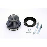 BLITZ(ブリッツ) SUS POWER CORE TYPE LM(サスパワーコアタイプLM) スカイライン ECR33 RB25DE(T) 56015