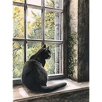 Amazon | 14CT クロスステッチキットかわいい黒猫動物クロスステッチ 