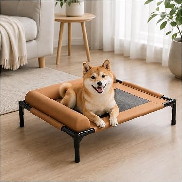 Amazon.co.jp 最新リリース: 犬用ベッド・クッション の新着ランキング