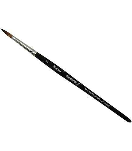 Amazon.co.jp: Raphael(ラファエル) 筆 ソフトアクア 丸・羽管 6号 805