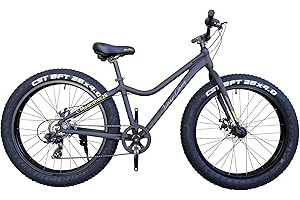 アイゼルキャンプ ビーチクルーザー 迫力の極太タイヤ Wディスクブレーキ 軽量アルミフレーム 7段変速 26インチ26x4.0 スノーバイク FATBIKE MOON260