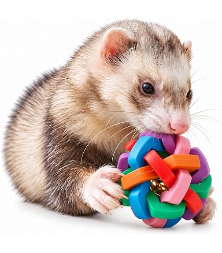 FERRET PLAY HOUSE フェレットプレイハウス フェレットワールドオリジナル ペット用品
