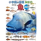 DVD付 新版 魚 (小学館の図鑑 NEO)