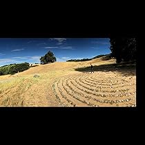 Amazon.co.jp: Ah Via Musicom: ミュージック