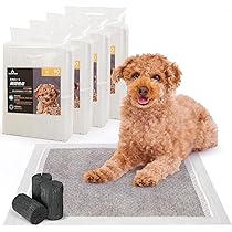 専用　ペットシーツ５枚 ◇コーナンオリジナル LIFELEX 薄型ペットシーツこまめに交換用
