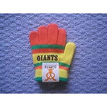 読売ジャイアンツ　南投手　実使用グローブ 読売ジャイアンツ南投手実使用グローブ