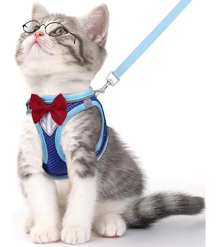 Lupine Reflective Cat Harness - H-Style, 1/2 Inch Wide, Blue Paws, 12-20 Inch Girth - View #3