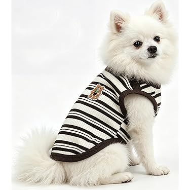 Amazon.co.jp 最新リリース: 犬用服・アクセサリ の新着ランキングです。
