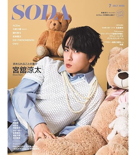 Amazon.co.jp: 宮舘涼太 ハンサム写真 アートポスター (24) クール 壁