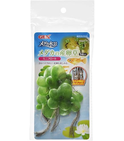 Amazon | ジェックス GEX メダカ元気 メダカの産卵草 ホテイアオイ