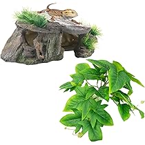 カナヘビ・爬虫類飼育11点セット カナヘビ・爬虫類飼育11点セット 爬虫類 飼育セット11点