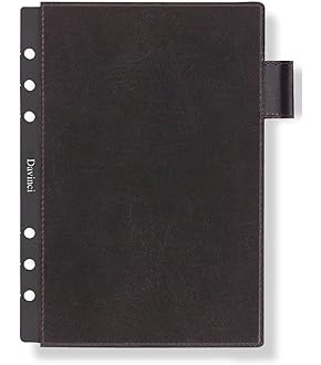 s*n様 レイメイ藤井 ダヴィンチ グランデシステム手帳 A5サイズ リング30 Amazon.co.jp: レイメイ藤井 ダヴィンチ グランデ ロロマ