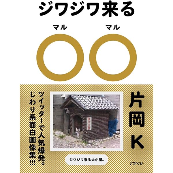 くらべてわかる写し方○と× ジワジワ来る□□ | 片岡 K |本 | 通販 | Amazon