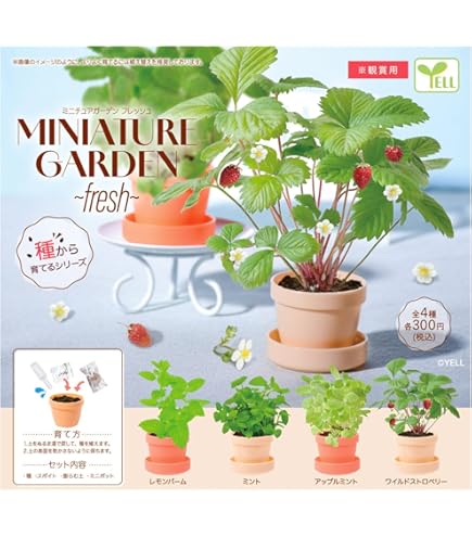 Amazon.co.jp: どんぐり共和国 ジブリ カメオブローチ 全8種
