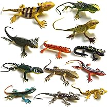 71ijhpSt7zL._AC_UL210_SR210,