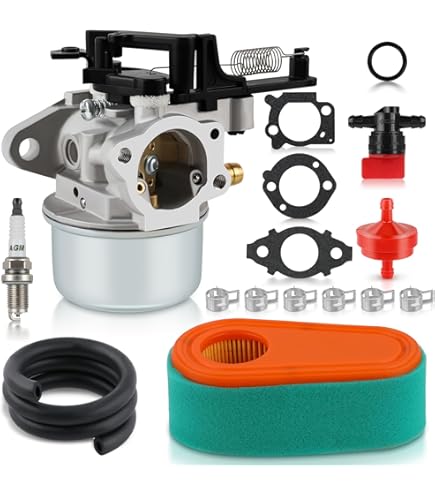 Plastic Carb Briggs And Stratton Engine Carburetor Cleaning