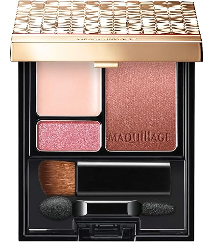 Amazon.co.jp: AUBE(オーブ) ブラシひと塗りシャドウN 18 プラム系 +