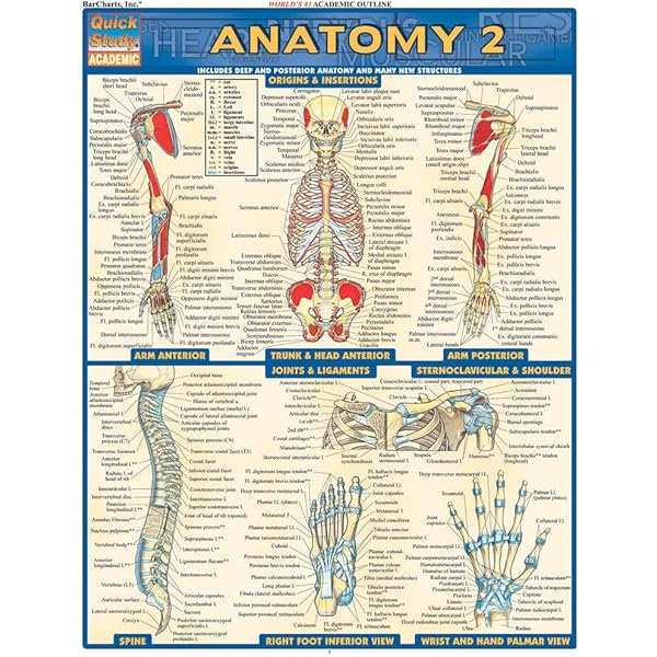 Amazon | Physiology Reference Guide (Quick Study Academic