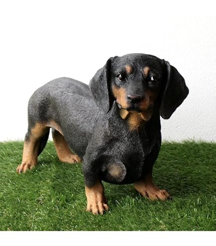 Amazon.co.jp: 【神話広場】 ダックスフント ダックスフンド 犬 イヌ