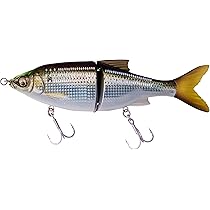 サルモ 魚皮張り ビックベイト Amazon.co.jp: Love Soul Dream ビッグ