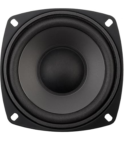 Amazon.co.jp: Visaton BG17-8 6.5 Full-Range Speaker with Whizzer