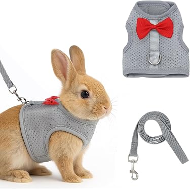 Amazon.co.jp 売れ筋ランキング: 小動物用首輪・ハーネス・リード の中