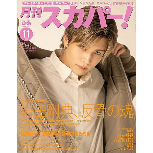 【最終値下げ】岩田剛典 BIGクリーナー 17thアニバ 20250628 Takanori Iwata Sustaina*Days supported by Nippon