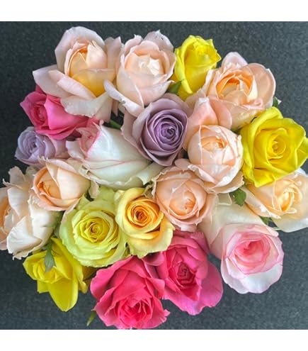 Amazon｜バラ 切り花・生花 ピンクミックス 30センチ 30本 薔薇 花束