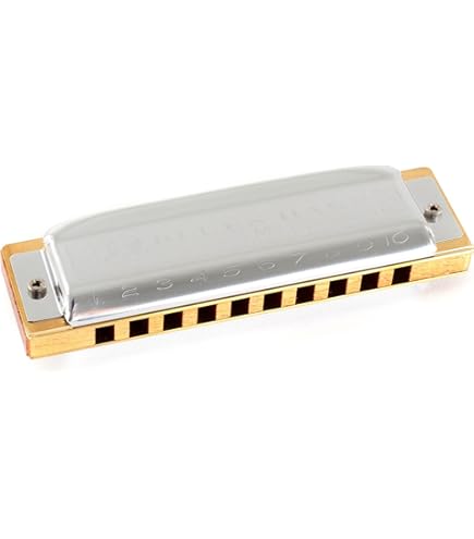 Hohner Chromonica 260 ハーモニカ Amazon | Hohner Chromonica 260 コレクター。 | ハーモニカ