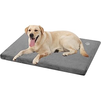 dog mat amazon