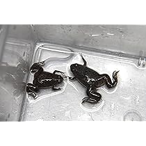 71j0f3nPIAL._AC_UL210_SR210,