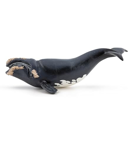 mer様♡専用 Amazon | Papo(パポ)ジンベイザメ PVC PA56039 | フィギュア