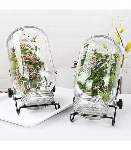 Amazon.co.jp: マイコン電気発芽器 発芽美人 HP-70 ライトグレー : DIY