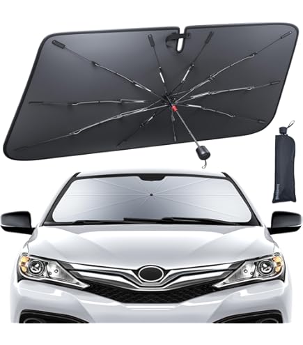 Amazon | メルセデスベンツ Eクラス セダンW214 2024年3月~現行 車用傘