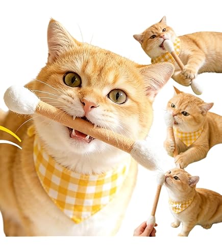 Amazon.co.jp: bobby dazzler ボビーダズラー ぬいぐるみ たぬき ねこ