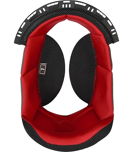 WINS A-FORCE RS Lサイズ（XLサイズのチークパッド有） 内装パーツ